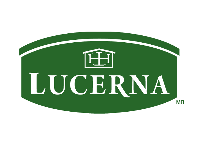 Lucerna